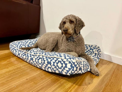 Relax And Reconnect At MaluaBay - Holiday Jervis Bay 1