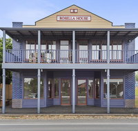 Blue Rosella On Piper - Holiday Jervis Bay