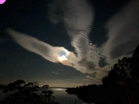 Blue Waters Holiday Cottages - Holiday Jervis Bay 2