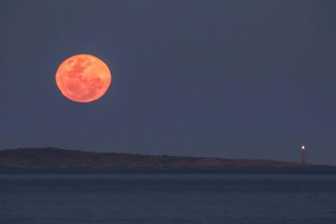Blue Waters Holiday Cottages - Holiday Jervis Bay 1