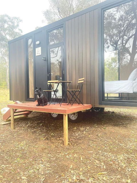Whispering Wallaby By Tiny Away - Holiday Jervis Bay 1