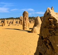 Pinnacles Desert Private Day Tour - Holiday Jervis Bay