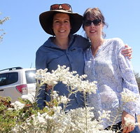 Spring Wildflower Private Day Tours - Holiday Jervis Bay