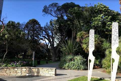 Perth Scavenger Hunt: Perched On A Swan - Holiday Jervis Bay 2