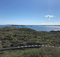 Penguin Island And Fremantle - Canoe Chocolate  Coffee - Holiday Jervis Bay