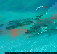 Private Tangalooma Wrecks Tour - Holiday Jervis Bay