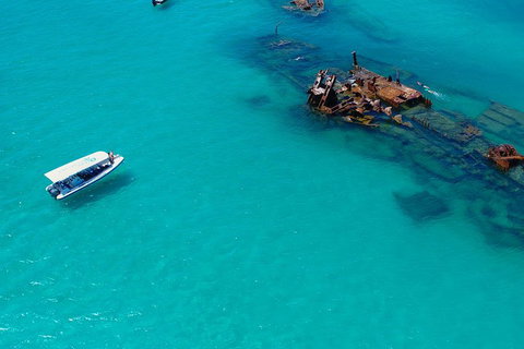 Private Tangalooma Wrecks Tour - Holiday Jervis Bay 4