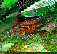 3-Day Small-Group Tour of North Queensland with Pick Up - Holiday Jervis Bay