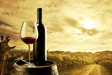 McLaren Vale Luxury Wine Tour - Holiday Jervis Bay 0