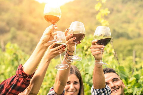 McLaren Vale Luxury Wine Tour - Holiday Jervis Bay 2