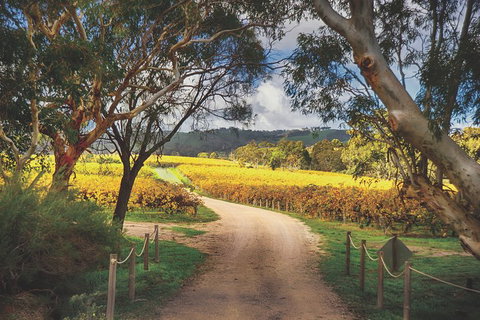 McLaren Vale Winery Small Group Tour With Wine Tasting And Lunch - Holiday Jervis Bay 1