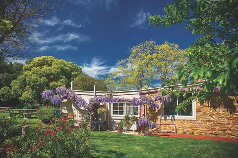 McLaren Vale Winery Small Group Tour With Wine Tasting And Lunch - Holiday Jervis Bay 2