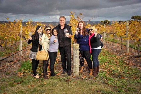 McLaren Vale Winery Small Group Tour With Wine Tasting And Lunch - Holiday Jervis Bay 3