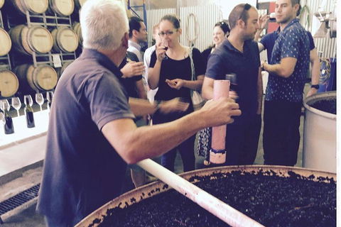 Luxury Private Mclaren Vale Wine Tour - Holiday Jervis Bay 4