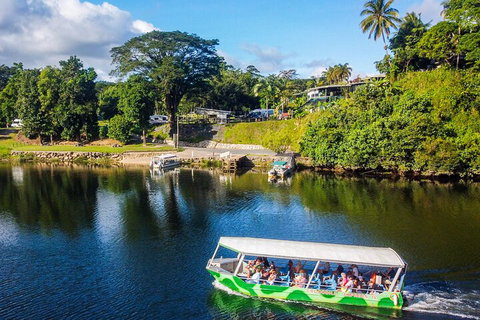Full Day Tour In The Daintree - Holiday Jervis Bay 2