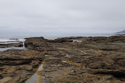Luxury Private Great Ocean Road Tour Up To 11 People - Entire Vehicle - Holiday Jervis Bay 1