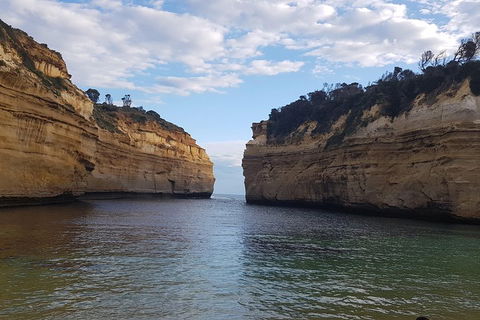 Luxury Private Great Ocean Road Tour Up To 11 People - Entire Vehicle - Holiday Jervis Bay 2
