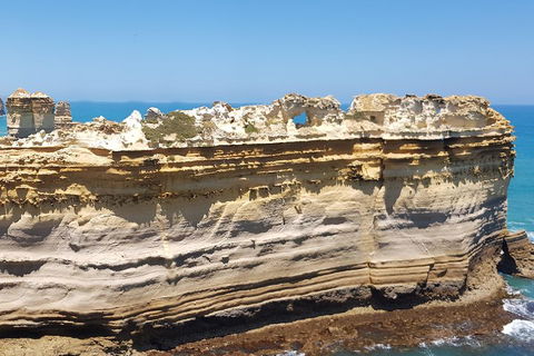 Luxury Private Great Ocean Road Tour Up To 11 People - Entire Vehicle - Holiday Jervis Bay 4