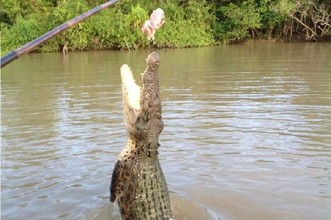 Litchfield National Park And Jumping Crocodile Cruise - Holiday Jervis Bay 2
