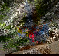 5-Day Lap of Tasmania Tour from Hobart flexible ticket - Holiday Jervis Bay