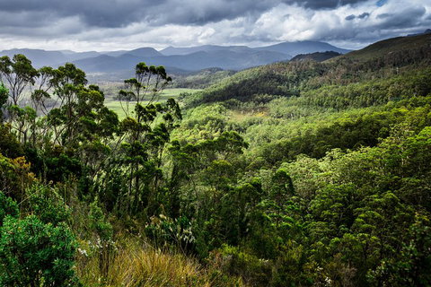 5-Day Lap Of Tasmania Tour From Hobart (flexible Ticket) - Holiday Jervis Bay 2