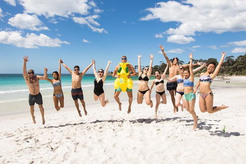 5-Day Lap Of Tasmania Tour From Hobart (flexible Ticket) - Holiday Jervis Bay 4