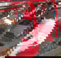 Full-Day Private Blue Mountains Tour with River Cruise - Holiday Jervis Bay