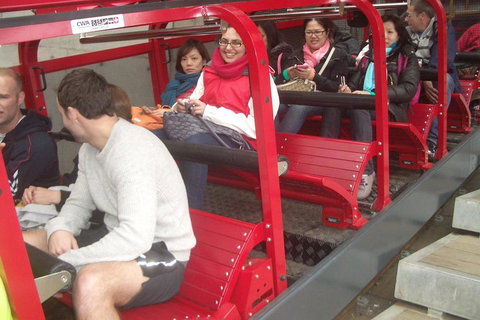 Full-Day Private Blue Mountains Tour With River Cruise - Holiday Jervis Bay 0