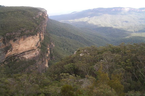 Full-Day Private Blue Mountains Tour With River Cruise - Holiday Jervis Bay 3