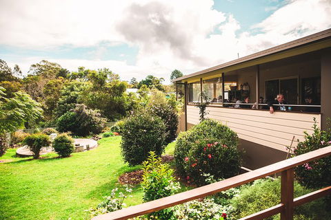 Full-day Springbrook National Park Tour From The Gold Coast - Holiday Jervis Bay 2