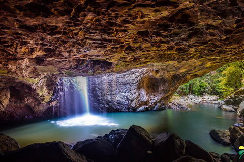 Full-day Springbrook National Park Tour From The Gold Coast - Holiday Jervis Bay 3