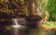 Full-day Springbrook National Park Tour From The Gold Coast - thumb 4