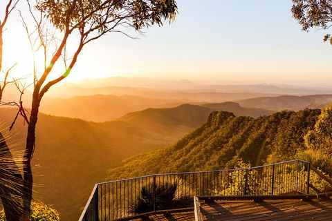 O'Reilly's & Lamington National Park Incl. Alpaca Farm + Vineyard - Holiday Jervis Bay 0