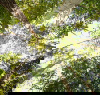 Fraser Island 4WD Tour from Noosa - Holiday Jervis Bay