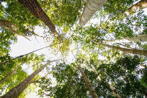 Fraser Island 4WD Tour From Noosa - Holiday Jervis Bay 0