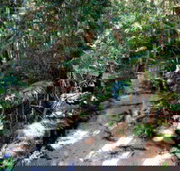 Fraser Island 4WD Tour from Rainbow Beach - Holiday Jervis Bay