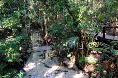 Fraser Island 4WD Tour From Rainbow Beach - Holiday Jervis Bay 0