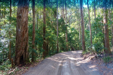 Fraser Island 4WD Tour From Rainbow Beach - Holiday Jervis Bay 4