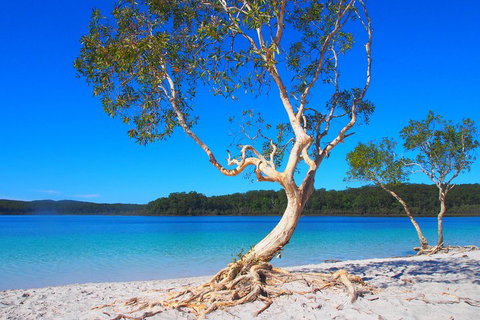 Fraser Island 4WD Tour From Rainbow Beach - Holiday Jervis Bay 5
