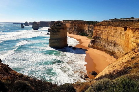 Helicopter Flight + Fine Dining Private Luxury Great Ocean Road Tour - Holiday Jervis Bay 4