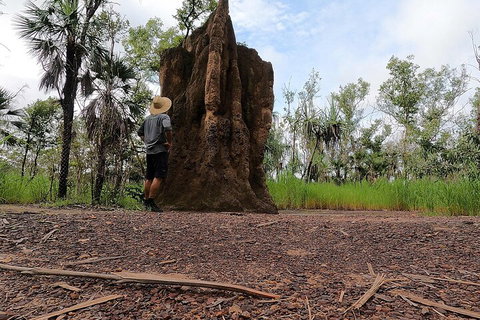 ETHICAL ADVENTURES - Litchfield Region, Max 10 Guests - Holiday Jervis Bay 3