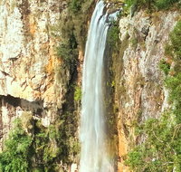 Private Tour - Rainforest  Waterfalls Extravaganza - Holiday Jervis Bay