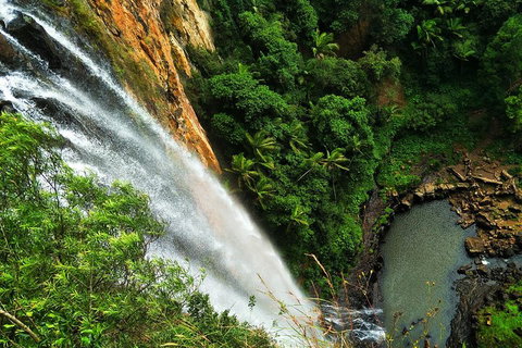 Private Tour - Rainforest & Waterfalls Extravaganza - Holiday Jervis Bay 2