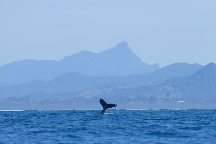 Holiday Jervis Bay