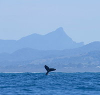 The Byron Bay Sea Kayak Tour - Holiday Jervis Bay