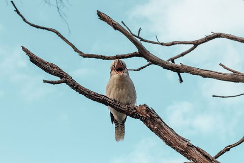 Highlights Of Kings Park - Holiday Jervis Bay 0