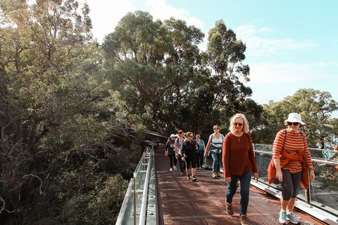 Highlights Of Kings Park - Holiday Jervis Bay 3