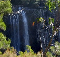 Byron Bay Hinterland Tour Including Rainforest Walk to Minyon Falls - Holiday Jervis Bay