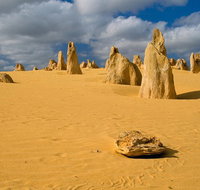 The Pinnacles Sea and Dunescapes Bush Reserve and Sunset Day Tour - Holiday Jervis Bay