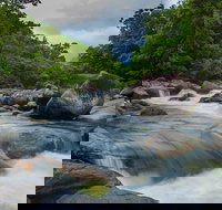 Cape Tribulation Day Tour - Holiday Jervis Bay